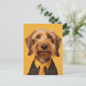 Drahthaarige Dachshung auf Gelb Postkarte (Stehend Vorderseite)