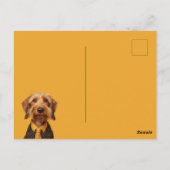 Drahthaarige Dachshung auf Gelb Postkarte (Rückseite)