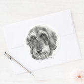 Drahthaarige Dackel Runder Aufkleber (Umschlag)