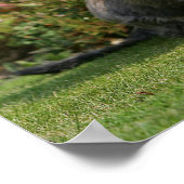 Drahthaarige Standard-Dackel Poster (Ecke)