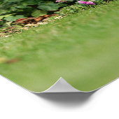 Drahthaarige Standardsitze für die Dackel Poster (Ecke)