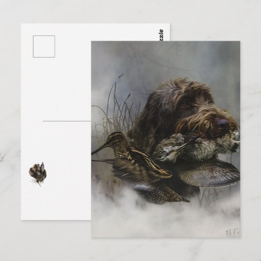 Drahthaariger Griffon, Waldschnepfenjagd     Postkarte (Vorne/Hinten)