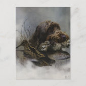 Drahthaariger Griffon, Waldschnepfenjagd     Postkarte (Vorderseite)