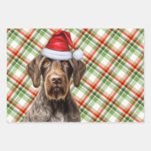 Drahthaariger Pointer Weihnachts Hund Rot Grün Kar Geschenkpapier Set (Vorderseite 3)