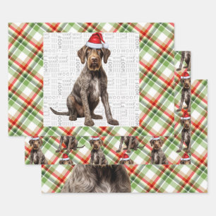 Drahthaariger Pointer Weihnachts Hund Rot Grün Kar Geschenkpapier Set