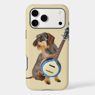 Drahthaarterrier Dackel Banjo