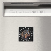 Drahthaarterrier Dackel Puppy Paw Prints Magnet (In Situ (Geschirrspüler))