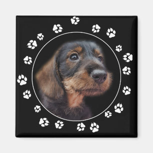 Drahthaarterrier Dackel Puppy Paw Prints Magnet