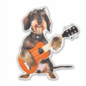 Drahthaarterrier Dackel Spielen Acoustic Gitarre Aufkleber (Vorderseite)