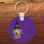 Drahthaarterrier Dackel Trick Schlüsselanhänger (Vorderseite)