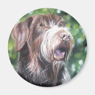 Drahthaarterrier-Zeiger Magnet