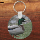 Drake Mallard Duck Schlüsselanhänger (Vorderseite)