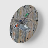 Drake mallard runde wanduhr (Winkel)