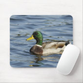 Drake Mousepad (Mit Mouse)