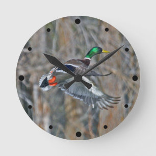 Drake-Stockente im Flug Runde Wanduhr