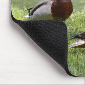 Drake und Ente im wilden Mousepad (Ecke)