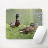 Drake und Ente im wilden Mousepad (Mit Mouse)