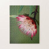 Drakensberg Sugarbush (Protea Dracomontana) Puzzle (Vertikal)
