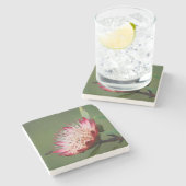 Drakensberg Sugarbush (Protea Dracomontana) Steinuntersetzer (Seitenansicht)