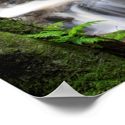 Drakes Creek Falls Poster (Ecke)