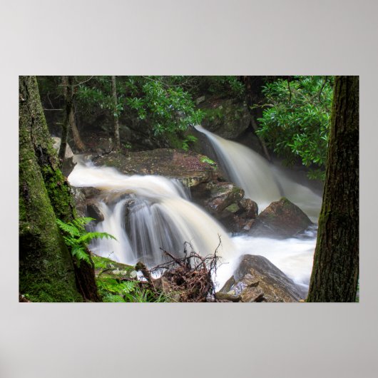 Drakes Creek Falls Poster (Vorne)