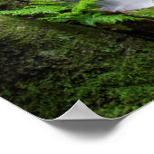 Drakes Creek Falls Poster (Ecke)