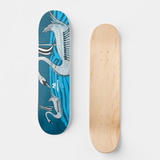 DRAKKAR SKATEBOARD (Vorderseite)