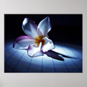 DRAMA (DE) POSTER (Vorne)