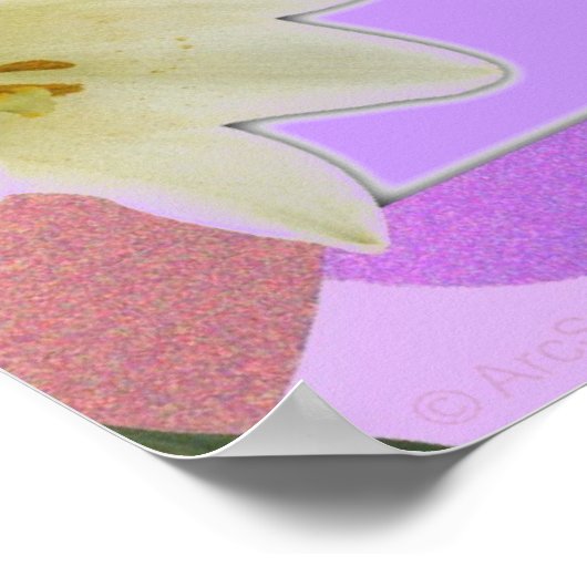 Drama free zone_ Poster (Ecke)