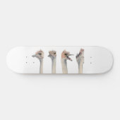 "Drama-Königin-" lustiges Strauß-Malen Skateboard (Horizontal)