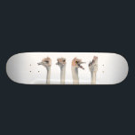 "Drama-Königin-" lustiges Strauß-Malen Skateboard<br><div class="desc">Dieses ist eine Malerei eines Straußes,  den ich an Como Zoo in St Paul mich traf,  Mangan. Er war wirklich ausdrucksvoll und war abhängig von macht Fotos von ein großes. Später malte ich seine verschiedenen Ausdrücke im Aquarell.</div>