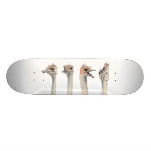 "Drama-Königin-" lustiges Strauß-Malen Skateboard
