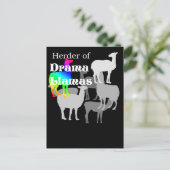 Drama Llama Herder Postcard Postkarte (Stehend Vorderseite)