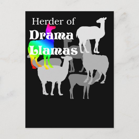 Drama Llama Herder Postcard Postkarte (Vorderseite)