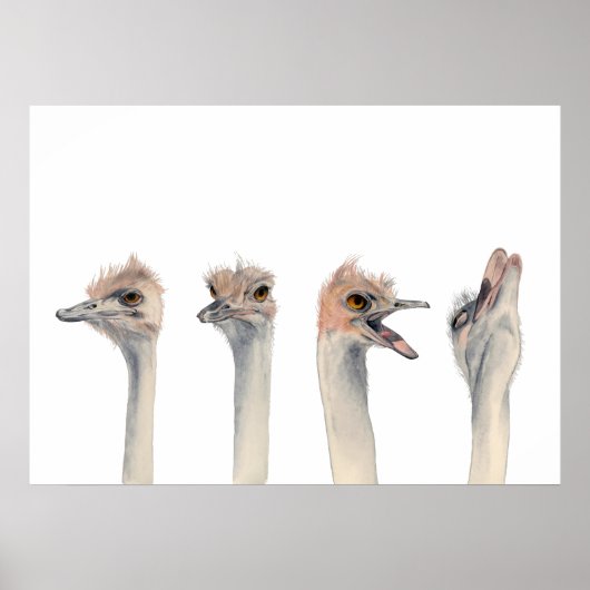 Drama Queen | Funny Ostrich Aquarellmalerei Poster (Vorne)