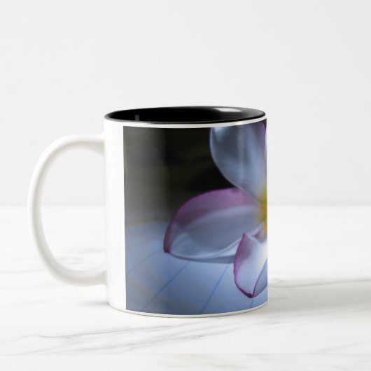 DRAMA ZWEIFARBIGE TASSE (Links)