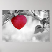 Dramatic Red Heart Shaped Apple Poster (Vorne)