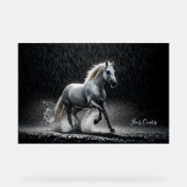 Dramatic White Horse Galloping in Rain Acrylschild (Vorderseite)