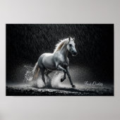 Dramatic White Horse Galloping in Rain Poster (Vorne)