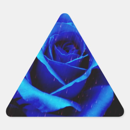 Dramatisch Blaue Rose Dreieckiger Aufkleber (Vorderseite)
