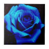 Dramatisch Blaue Rose Fliese (Vorderseite)