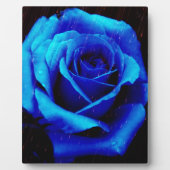 Dramatisch Blaue Rose Fotoplatte (Vorderseite)