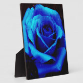 Dramatisch Blaue Rose Fotoplatte (Seite)