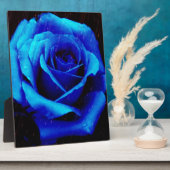 Dramatisch Blaue Rose Fotoplatte (Seite)