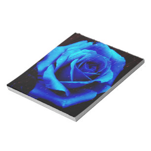 Dramatisch Blaue Rose Notizblock