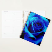 Dramatisch Blaue Rose Planer (Anzeige)