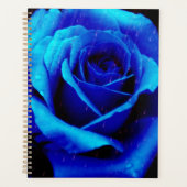Dramatisch Blaue Rose Planer (Vorderseite)