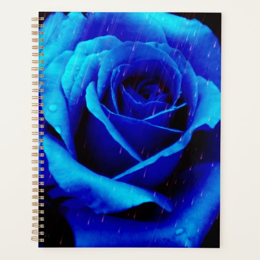 Dramatisch Blaue Rose Planer (Vorderseite)