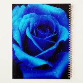 Dramatisch Blaue Rose Planer (Rückseite)