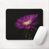 Dramatisch Flatty Cake Cactus Blume Mousepad (Mit Mouse)